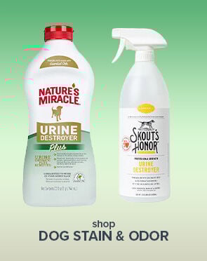 Dog Stain & Odor